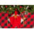 Wolsingham Gingham 100% Cotton Square Tablecloth-1110697332-1083442153