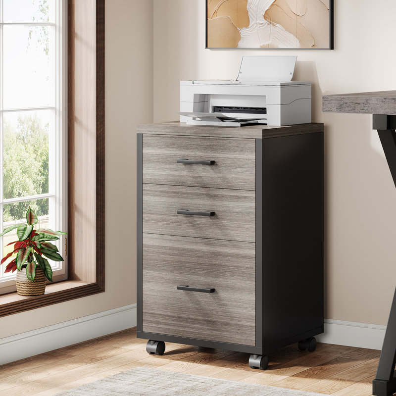 Modern 3-Drawer Rolling Vertical File Cabinet With Locking Casters,  Mobile Printer Stand For Home Office, Gary