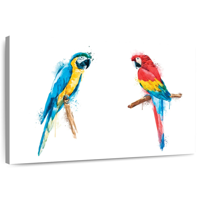 Macaw Duo Color Splash, 24" H x 36" W