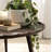Avelines Single Coffee Table-898622250