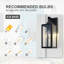 Schock Matte Black Outdoor Wall Lantern-211672985