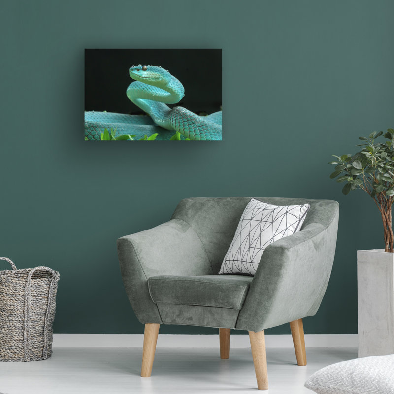 Art sur toile, Yan Hidayat The Viper, H 12 po x l 19 po