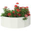 Planter Box-1713695290-1713695289