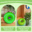 Lampe de table Donut