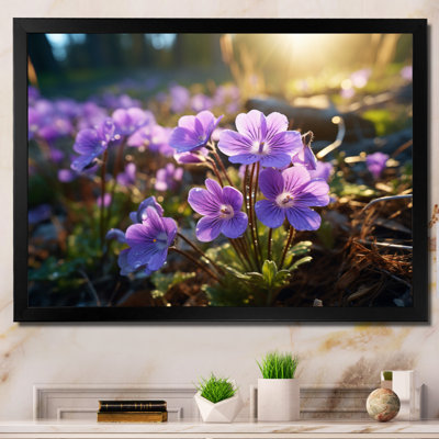 «Violets Field At Sunrise II», reproduction sur toile