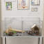 Playpen Pet Pen-863366732