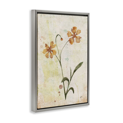  «Ceropsis Flower Sprig» par Lydia Orange