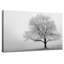 « serenity », reproduction d’impression sur toile tendue-1140867495