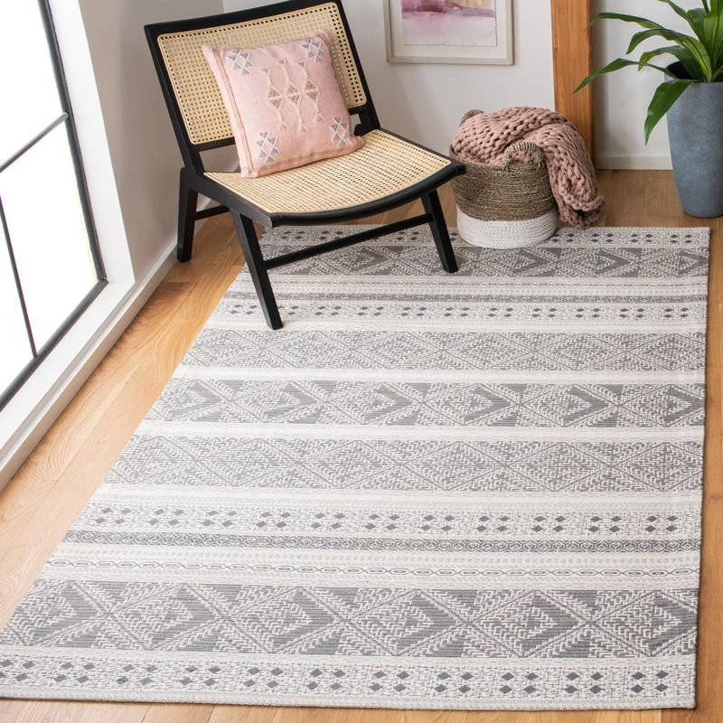 Tapis gris tissé à la main Novalee Southwestern, Rectangle 4 pi x 6 pi