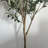 6'' Faux Olive Tree Tree in Pot