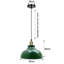 Binns 1 - Light Dome Pendant-962879304