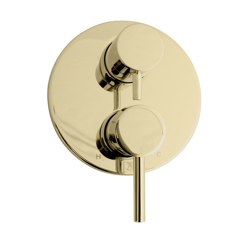 Shower Faucet, Polished Gold