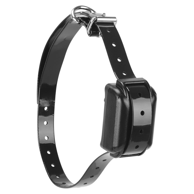Dog Training Collar