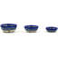 Cocentric Tulips Stoneware Rice Bowl