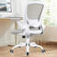 Home Office Ergonomic Mesh Task Chair-1968346826