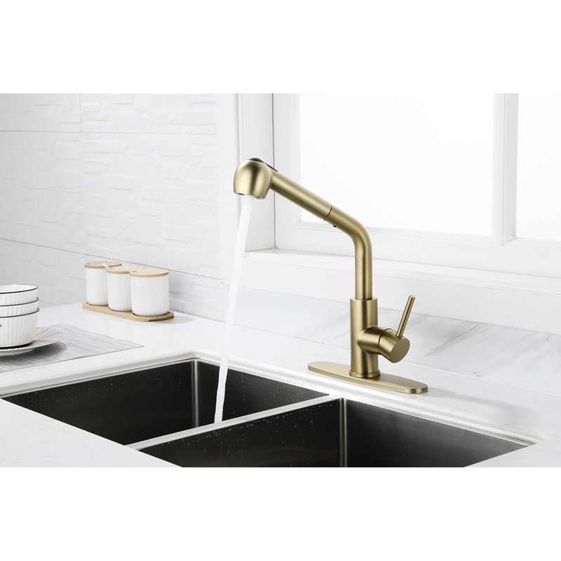 Robinet de lavabo extractible simple à fonction de jet double en acier inoxydable doré, buse haute rotative à 360 °, débit d'eau et température facile, conception rouille avec acier inoxydable pour la lessive, rotation de la buse,