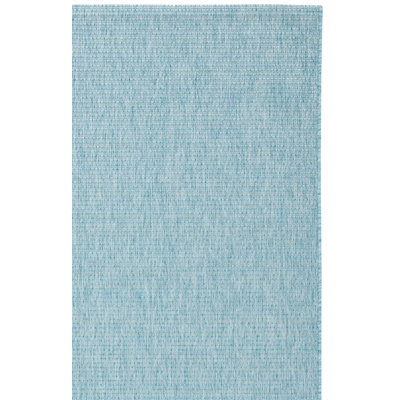 Alexondra Performance Solid Color Indoor/Outdoor Area Rug