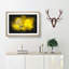 Yellow Butterfly - Picture Frame Painting Print-56842424-56842425