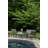 Limetta Square Metal Outdoor Side Table , 19'' in. W 19'' in. D