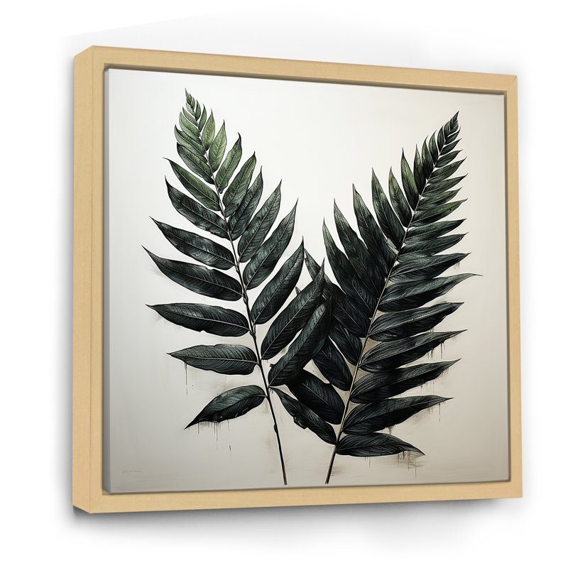 «Shadowed Black Spruce Leaves II», reproduction sur toile, Cadre naturel flottant, H 24 po x l 24 po x P 1 po