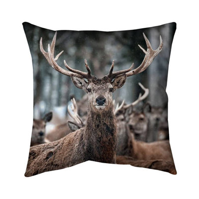 Stags Hygge Poly Twill Throw - Cozy Farm Animal – Throw Pillow Cover Only, Double-Sided Print, Insert Not Included
