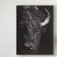 «Black Glimpse I» par Julie T. Chapman - reproduction d'art sur toile-531599671