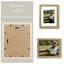 Matte Picture Frame-1217975755-1217975754