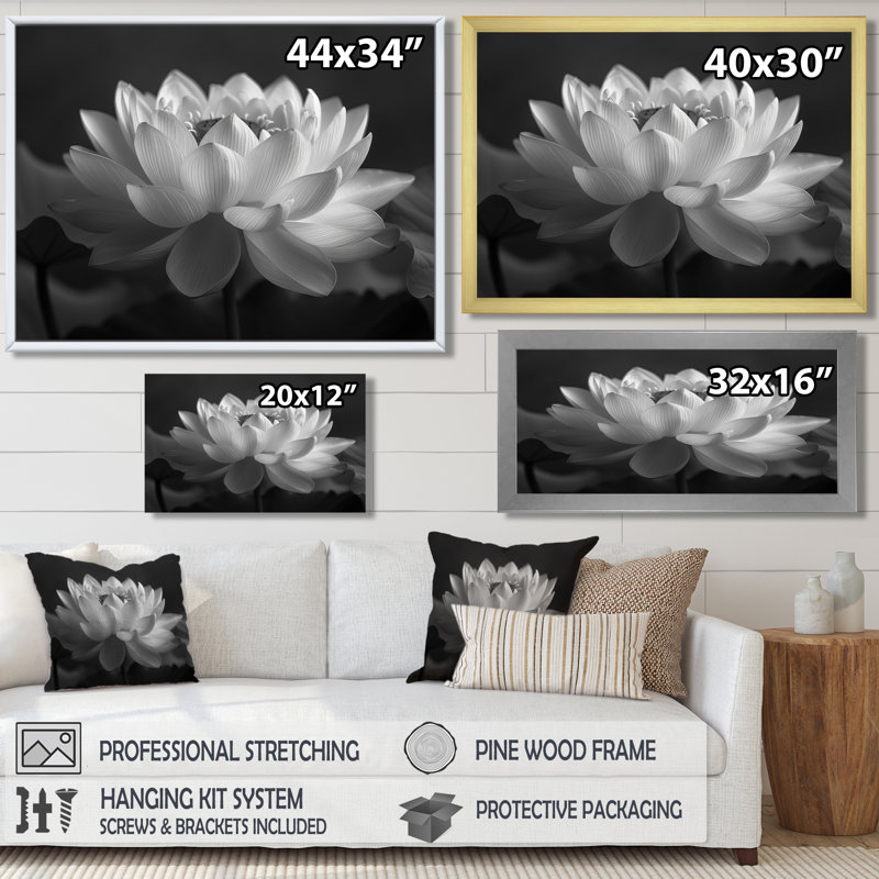Gris gris et gris, impression d'art mural Lotus, H 34 po x l 44 po, Encadrement argenté
