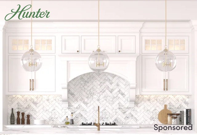 Hunter Fan Single Pendant Lights