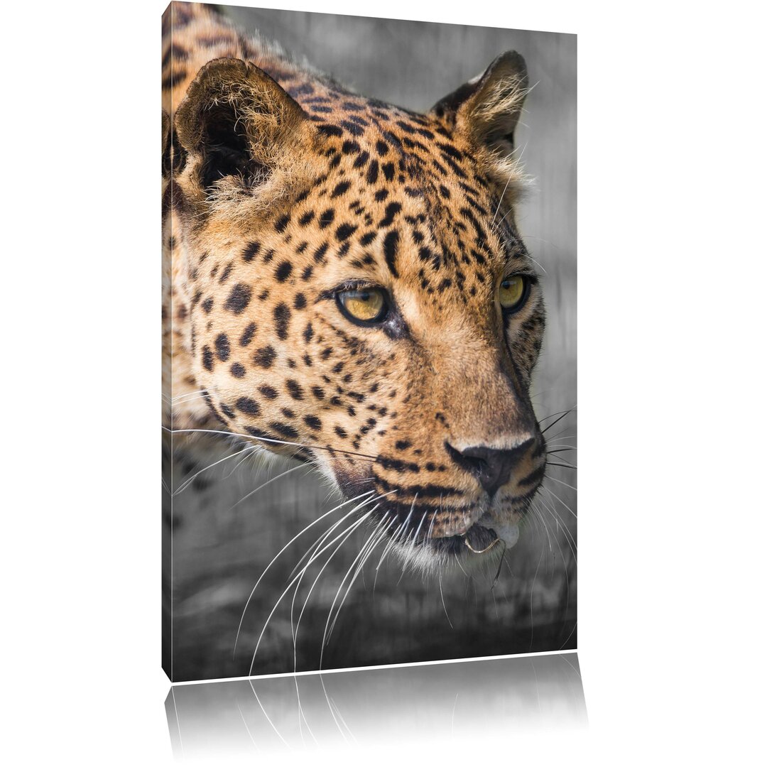 Leinwandbild Schleichender Leopard