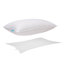 Goose Down Pillow