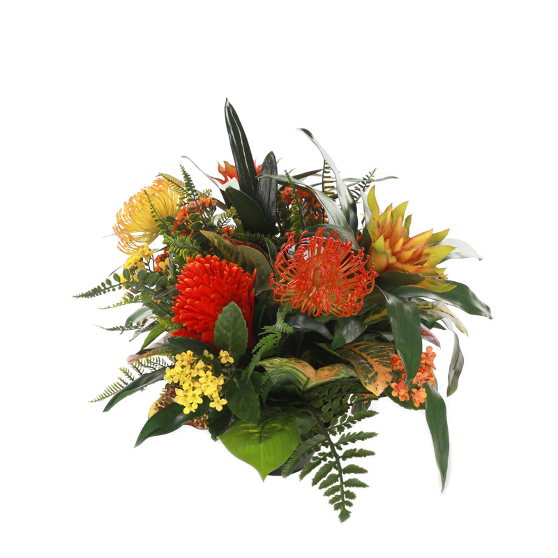 Arrangement de broméliacées en pot