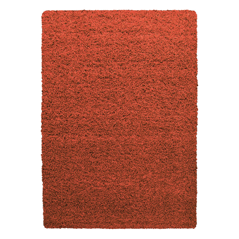 Riam Shaggy Area Rug, Rectangle 200 x 290cm
