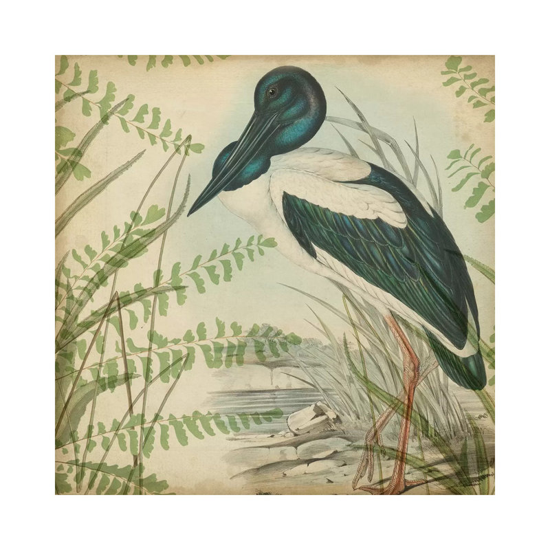 Heron & Ferns I by Vision Studio - Wrapped Canvas Painting, 30.48 cm H x 30.48 cm W