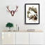 White Goshawks by Elizabeth Gould - Picture Frame Art Prints-55612755-55612756