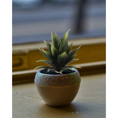 6'' Faux Succulent