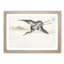 Common Crane by Numata Kashu - Picture Frame Painting Print-55686470-55686465