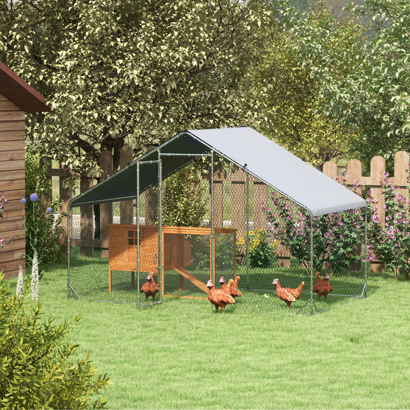 Weather Resistant Chicken Cage