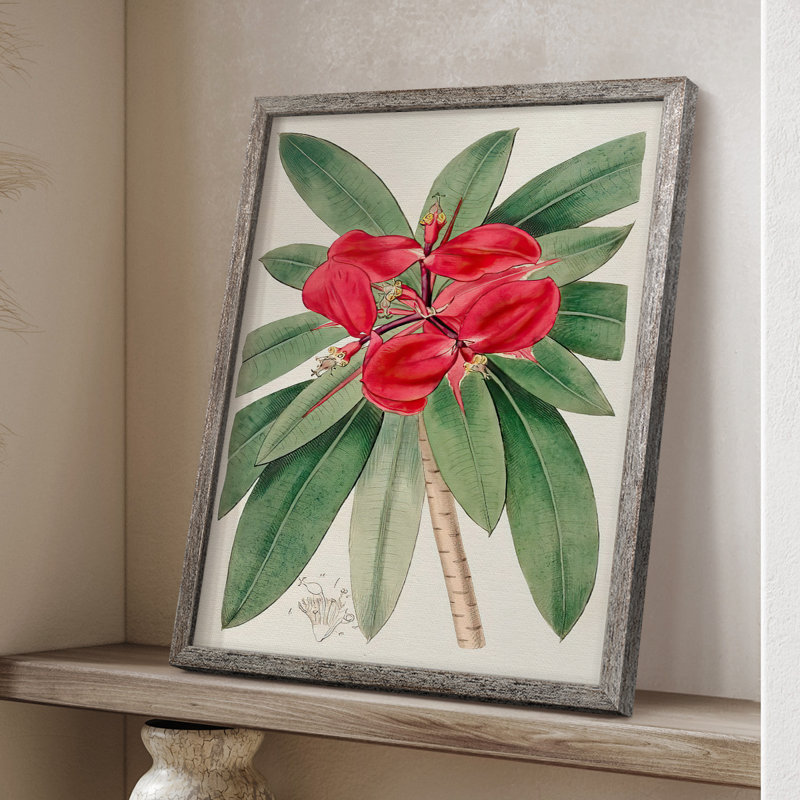 FloraOfTheTropicsIII Framed Print - Solid Wood 2775380