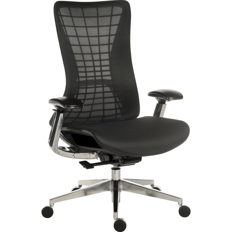 Dinwiddie Mesh Office Chair