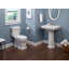 Vivian™ Widespread Bathroom Faucet with Drain Assembly-48776911-124967470