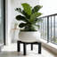 Support à plante en bois Mid-Century moderne avec décorations en rotin - Support à pot intérieur et extérieur robuste pour jardinières de 8 à 18 pouces