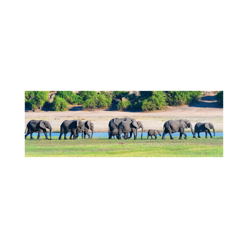 Elephant Herd, Chobe National Park, North-West District, Botswana by Keren Su - Wrapped Canvas Panoramic Print