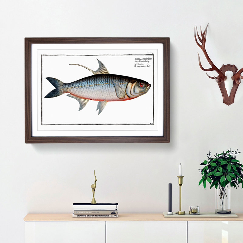 Deep-water Fish by M.E. Bloch - Picture Frame Painting Print, 48cm H x 65cm W x 2cm D, Walnut Framed