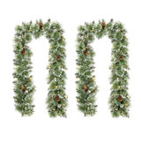 6' Pre-Lit Frosted Greenery Pinecones Christmas Garland with Lights