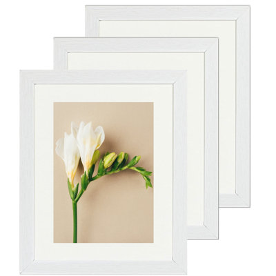 Picture Frame - Set of 3 with Mat