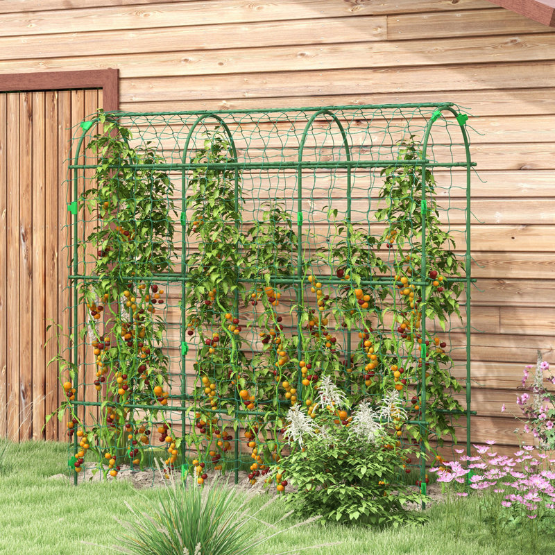 183cm H x 182cm W Metal, Plastic Arched