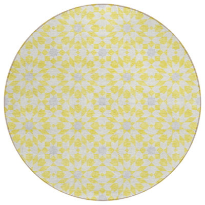 Washable Floral Indoor / Outdoor Rug