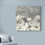 « fleurs on gray i », reproduction sur toile tendue-33516253