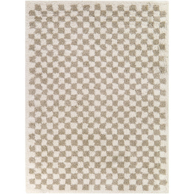 Walker Beige Checkered Shag Area Rug